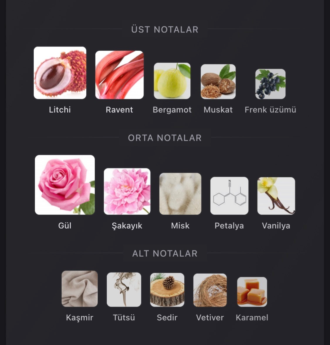 Delina 50 ml parfüm