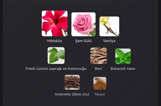 Hibiscus Mahajád 50 ml parfüm